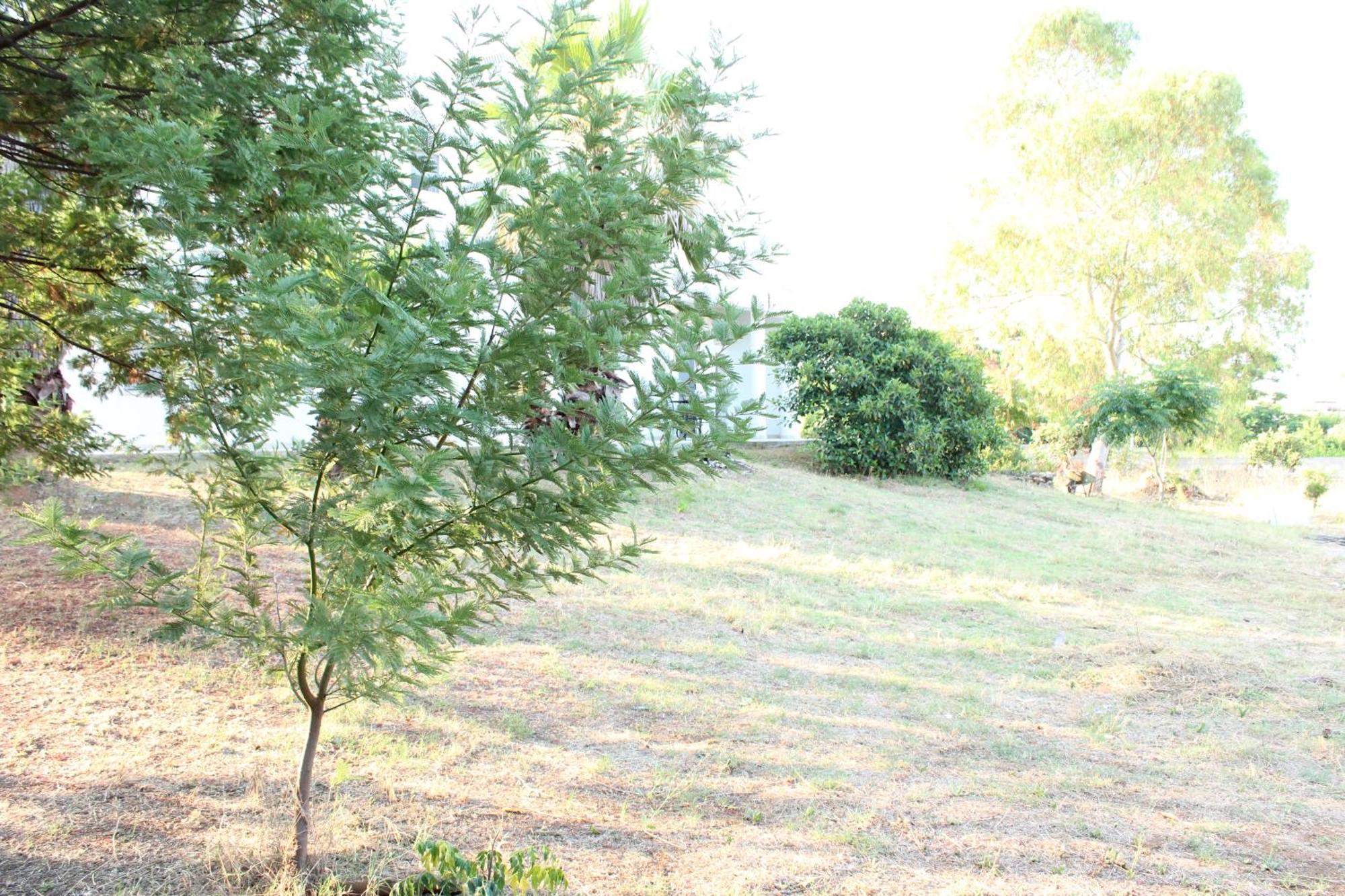 Boat Dreams , Garden Relax Apartment Matino Bagian luar foto